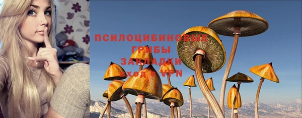 спайс Алексин