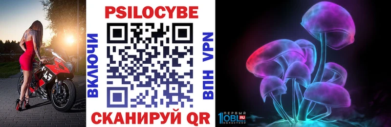купить наркотик  Опочка  кракен tor  Псилоцибиновые грибы Cubensis 