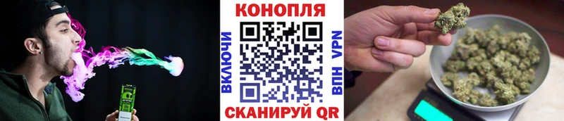 где продают   Опочка  Канабис конопля 